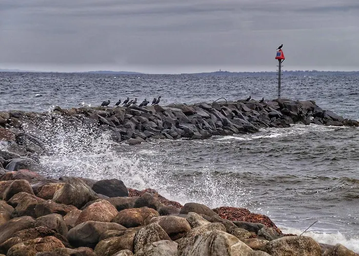 6 Person Home-by Traum Augustenborg